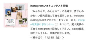 みんなイヌみんなネコフォトコンテスト